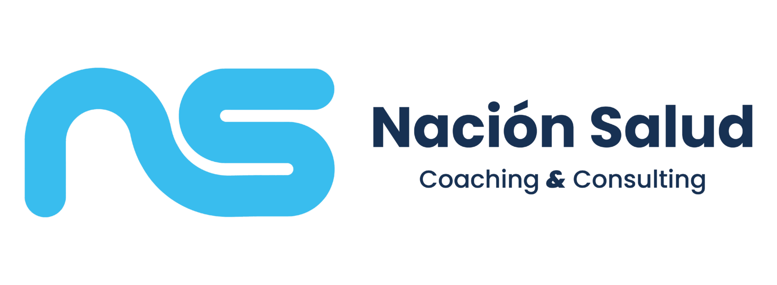ns logo 2